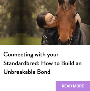 bond with standardbred