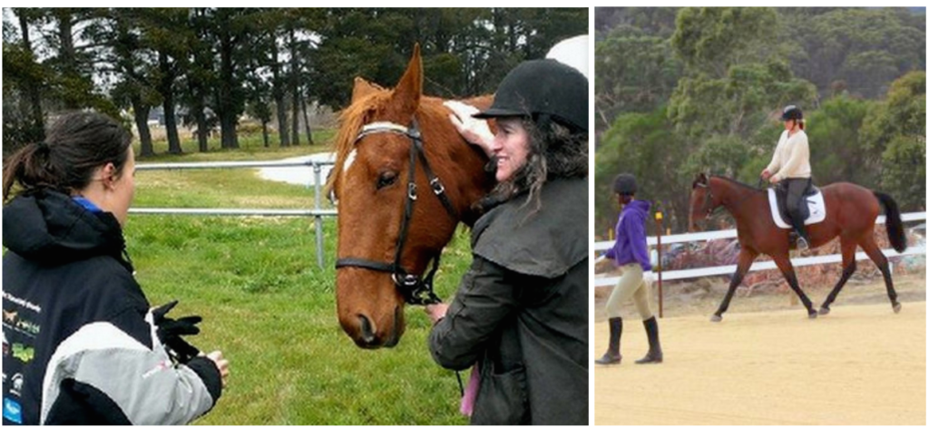 Standardbred Riding Lessons