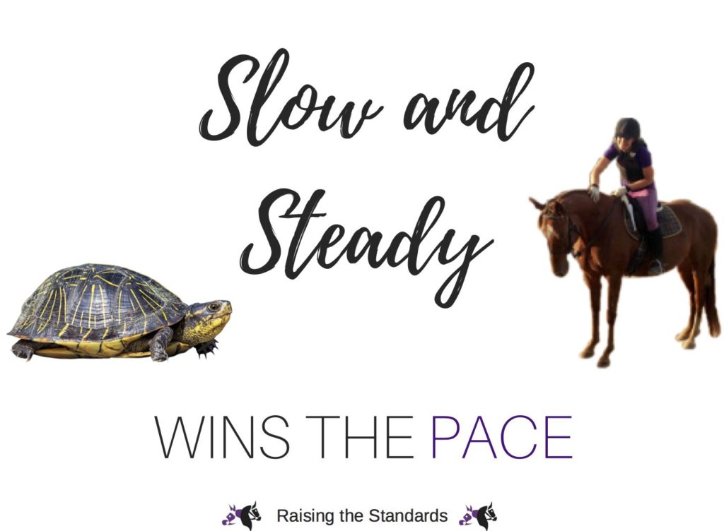 Retraining the Standardbred: Slow and Steady