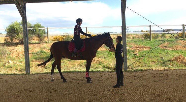 standardbred riding lesson