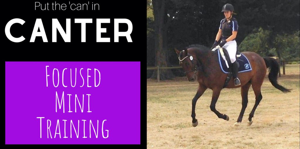 standardbred canter training