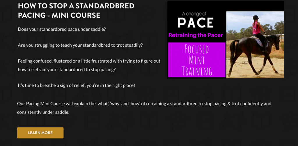 standardbred ex-pacer training