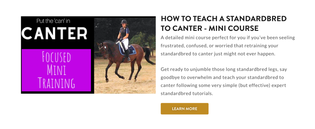 teach standardbred to canter