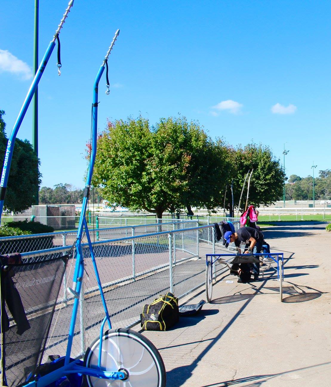 harness racing training