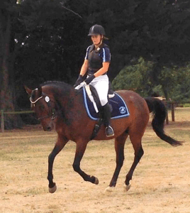 teaching a standardbred to canter