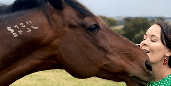 Raising the Standards - Standardbred Retraining Support